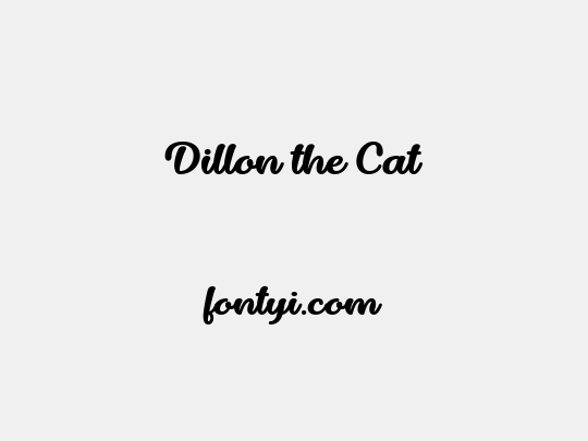 Dillon the Cat
