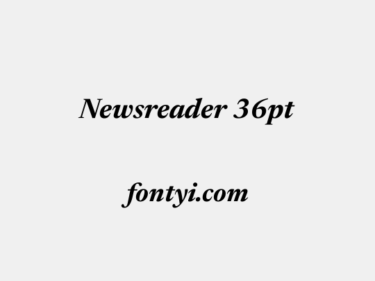 Newsreader 36pt