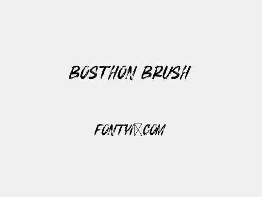 BOSTHON BRUSH