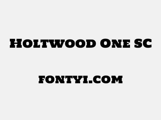 Holtwood One SC