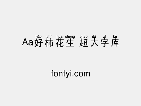 Aa好柿花生 超大字库