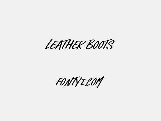 Leather Boots