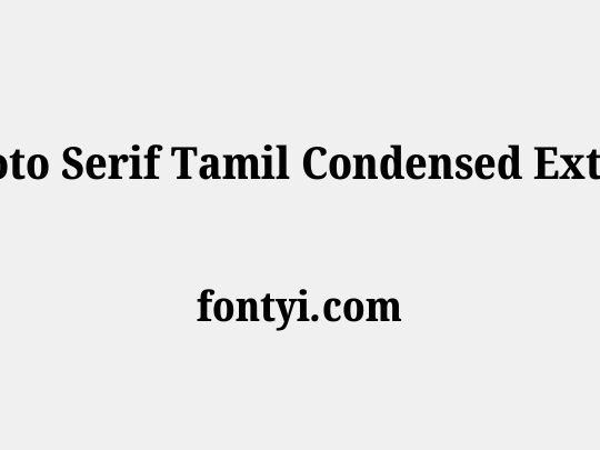 Noto Serif Tamil Condensed ExtraBold