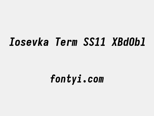Iosevka Term SS11 XBdObl