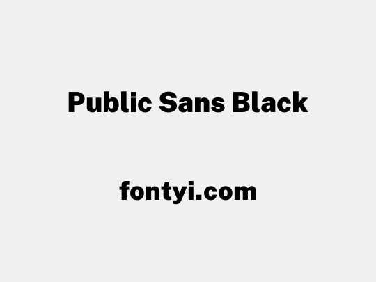 Public Sans Black