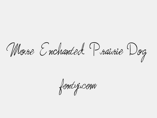 More Enchanted Prairie Dog