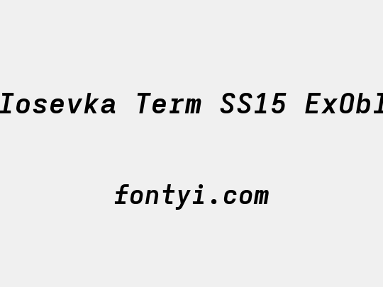 Iosevka Term SS15 ExObl
