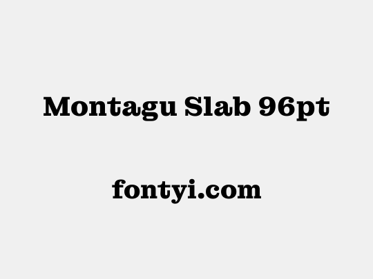 Montagu Slab 96pt