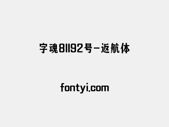 字魂81192号-返航体