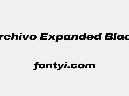 Archivo Expanded Black