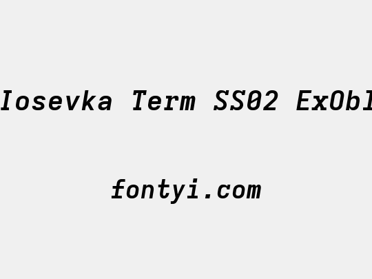Iosevka Term SS02 ExObl