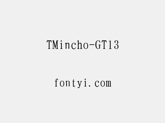 TMincho-GT13