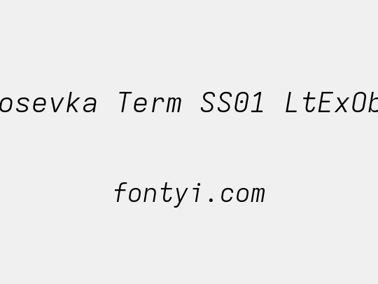 Iosevka Term SS01 LtExObl
