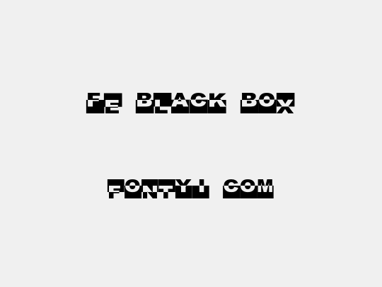 FE Black Box