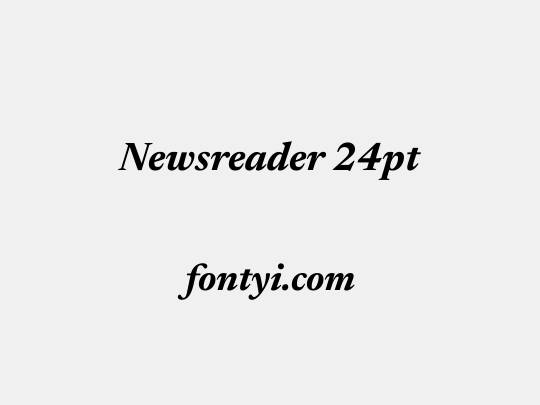 Newsreader 24pt