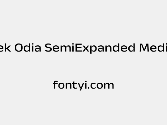 Anek Odia SemiExpanded Medium
