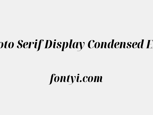 Noto Serif Display Condensed ExtraBold