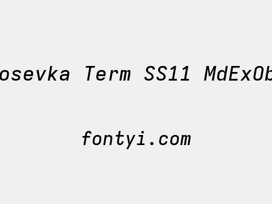 Iosevka Term SS11 MdExObl