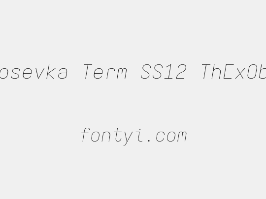Iosevka Term SS12 ThExObl