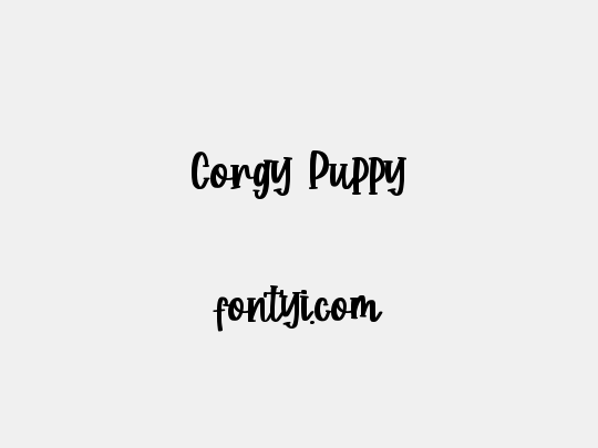 Corgy Puppy