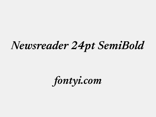 Newsreader 24pt SemiBold