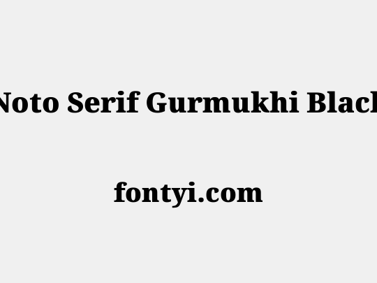 Noto Serif Gurmukhi Black