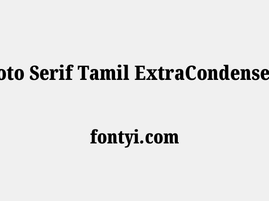 Noto Serif Tamil ExtraCondensed Black