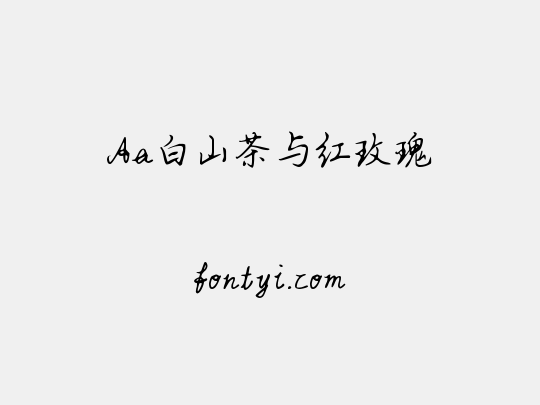 Aa白山茶与红玫瑰