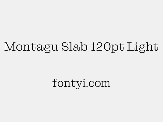 Montagu Slab 120pt Light