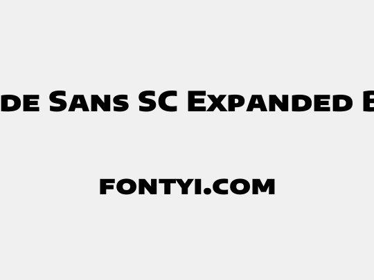Encode Sans SC Expanded Black