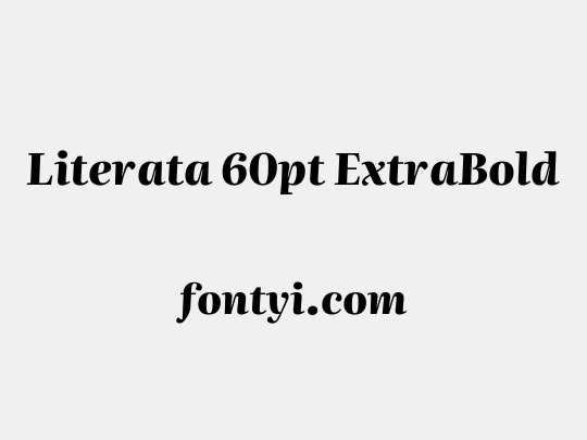 Literata 60pt ExtraBold