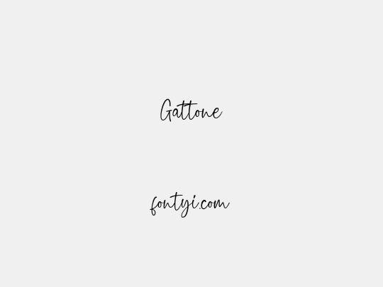 Gattone
