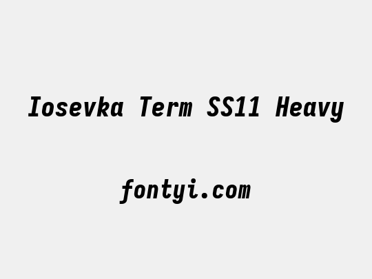 Iosevka Term SS11 Heavy