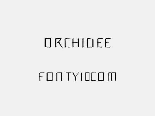 Orchidee