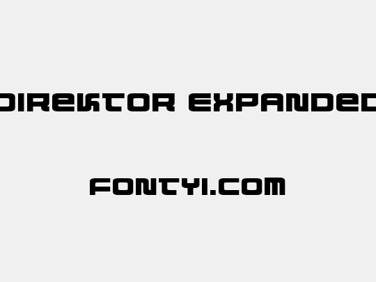 Direktor Expanded