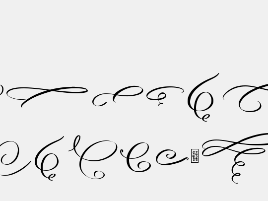 Angella Gardness Swash