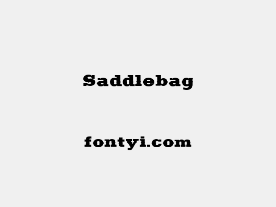 Saddlebag