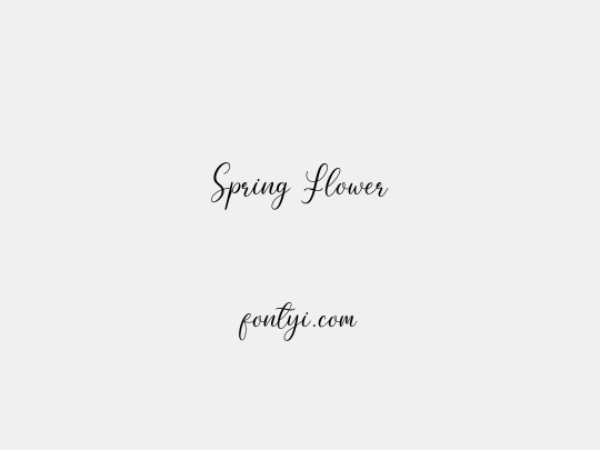 Spring Flower