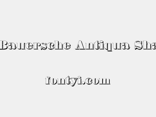 Fette Bauersche Antiqua Shaddow  UNZ Pro