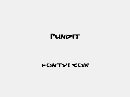 Pundit
