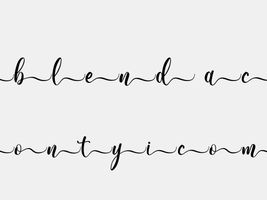 Wonderblend Back Demo