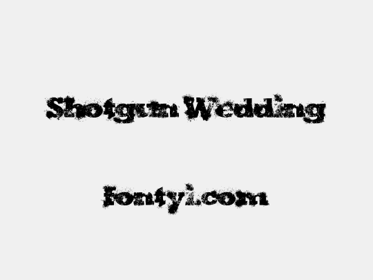 Shotgun Wedding