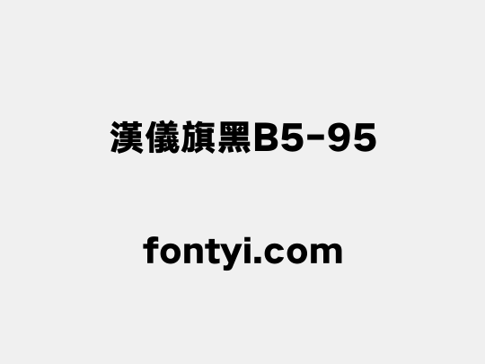 漢儀旗黑B5-95