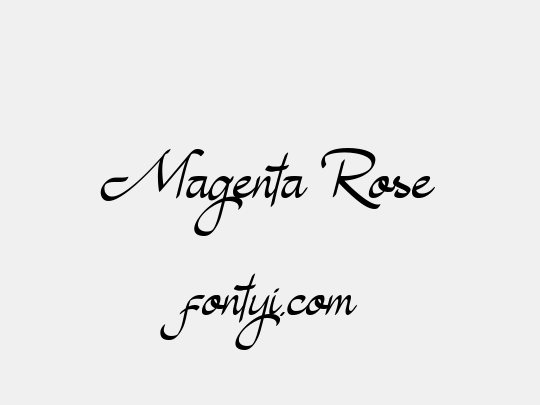 Magenta Rose