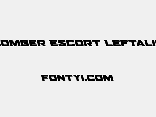Bomber Escort Leftalic