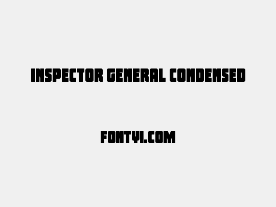 Inspector General Condensed