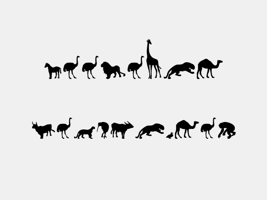 Zoologic