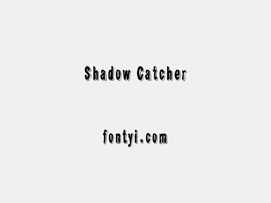 Shadow Catcher