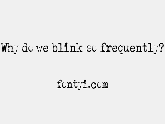 Why do we blink so frequently?