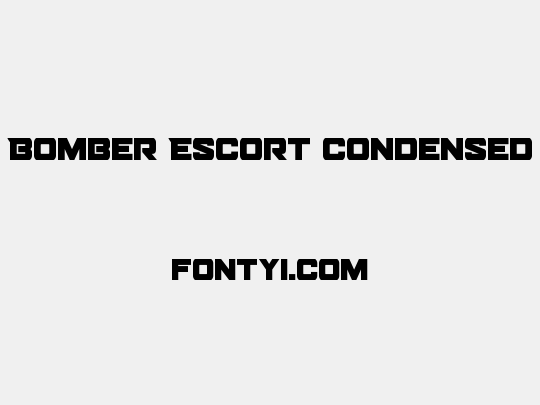 Bomber Escort Condensed